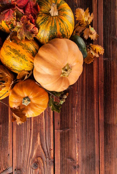 Autumn agriculture products on wood — Stock Photo, Image