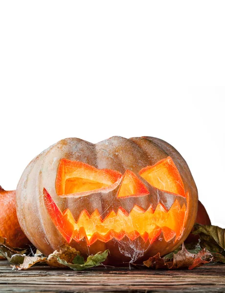 Zucca di Halloween isolato su sfondo bianco — Foto Stock