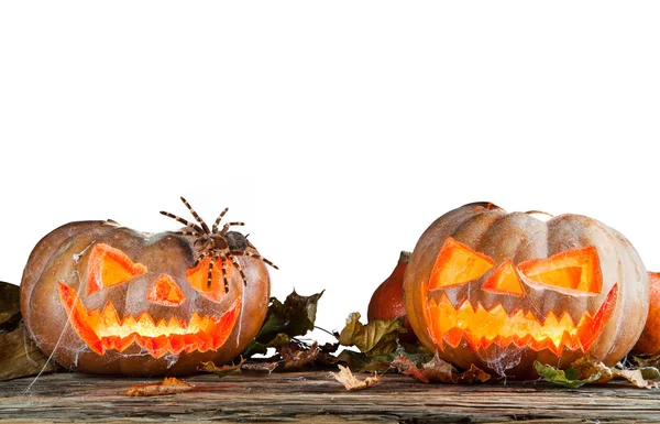 Zucche di Halloween isolato su sfondo bianco — Foto Stock