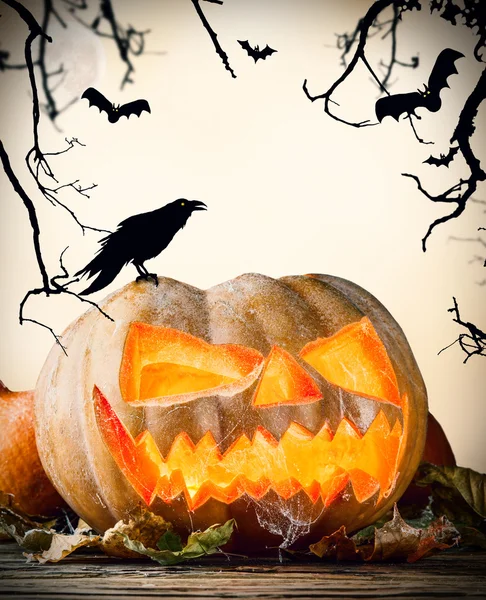 Halloween pompoen op hout met donkere achtergrond — Stockfoto