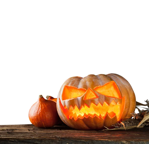 Zucca di Halloween isolato su sfondo bianco — Foto Stock