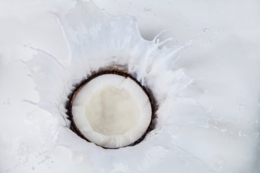 Hindistan cevizi sütü sıçramalarına düşen