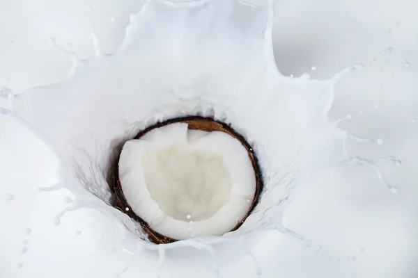 Kokosnuss fällt in Milchspritzer — Stockfoto