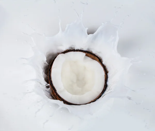 Cocco che cade in spruzzi di latte — Foto Stock