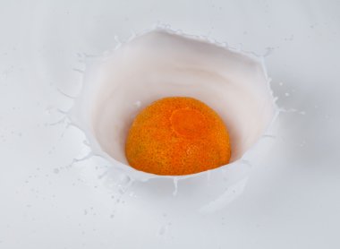 Süt düşen Mandarine