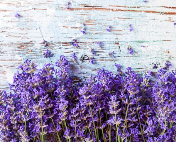 Fresh lavender on wood — Stock Photo, Image