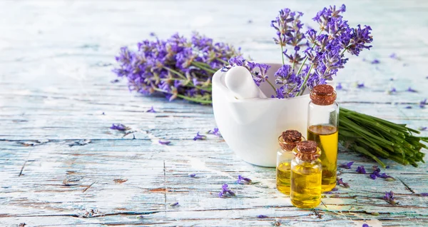 Lavanda fresca sobre madera — Foto de Stock