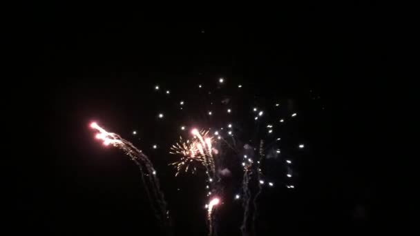 Fogos de artifício — Vídeo de Stock