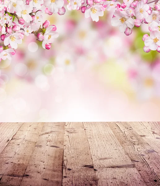 Spring background — Stock Photo, Image