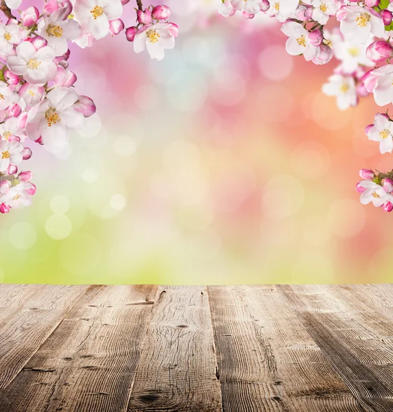 Spring background — Stock Photo, Image