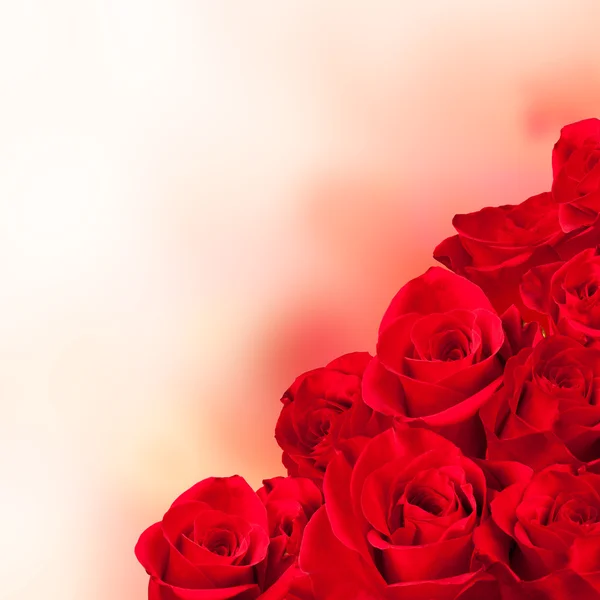 Букет из красных роз — стоковое фото