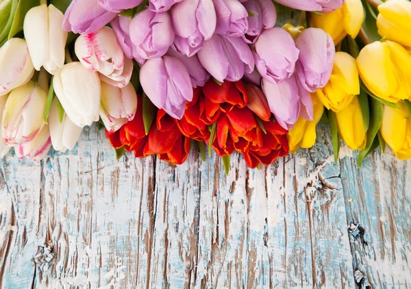 Tulipes colorées sur planches de bois — Photo