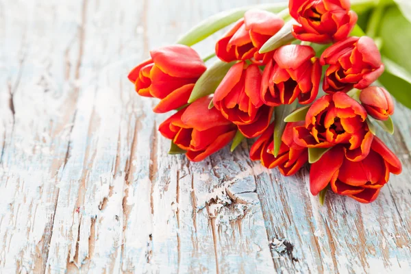 Tulipes rouges sur planches de bois — Photo