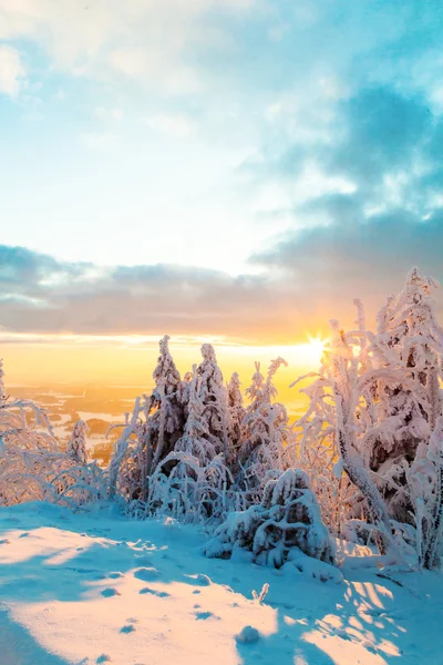 Besneeuwde winterlandschap in zonsondergang — Stockfoto