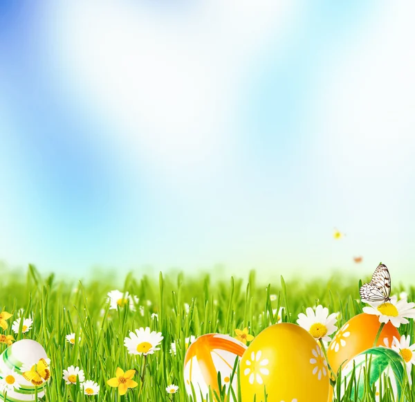 Spring meadow — Stock Photo, Image