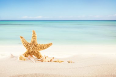 Sandy beach metin için boş kağıt ile