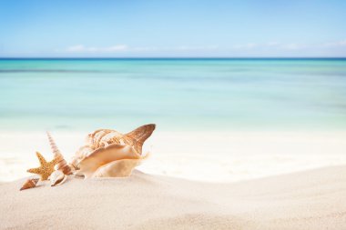 Sandy beach metin için boş kağıt ile