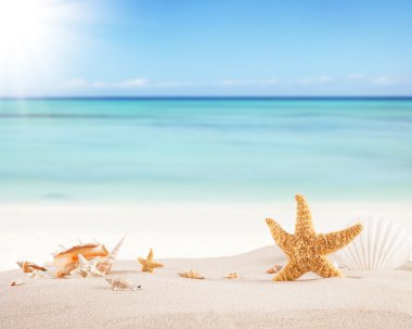 Sandy beach metin için boş kağıt ile