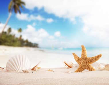 Sandy beach metin için boş kağıt ile