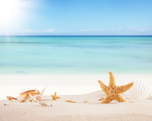 Zandstrand met blanco papier voor tekst Stockfoto