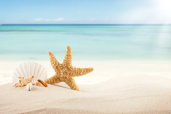 Zandstrand met blanco papier voor tekst Rechtenvrije Stockfoto's