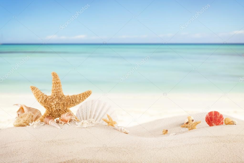 Sandy beach with blank paper for text