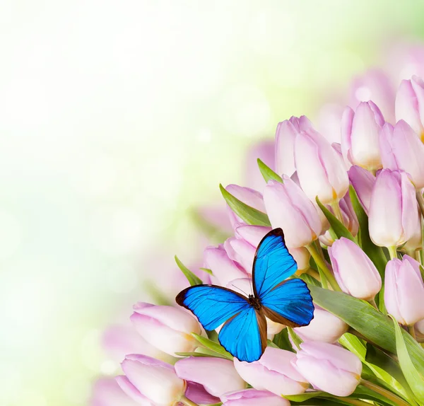 Boeket roze tulpen — Stockfoto