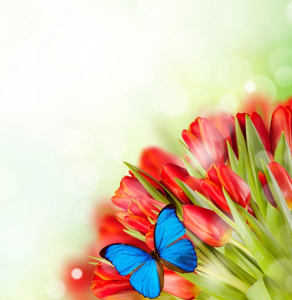 Boeket rode tulpen — Stockfoto