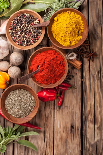 Various kind of spices — Stock Photo, Image