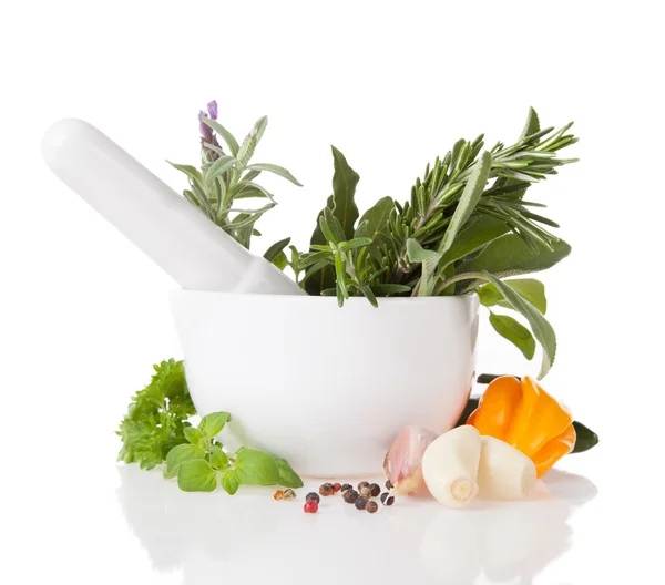 Fresh herbs in grinder — Stock Photo, Image