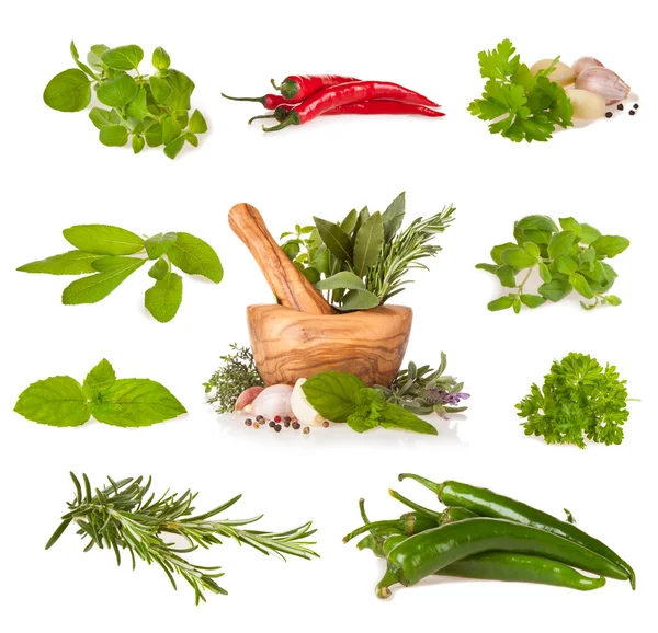 Various fresh herbs on white — Stock Photo, Image