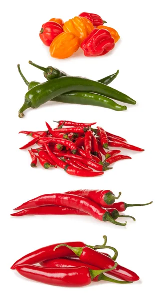 Chilli peppers on white background — Stock Photo, Image