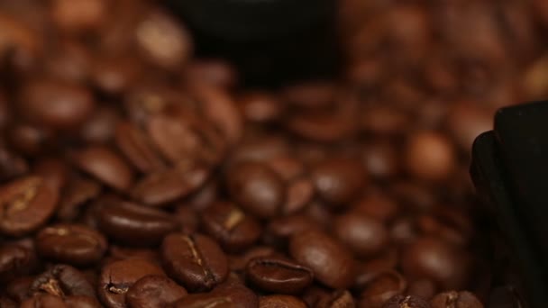 Chicchi di caffè — Video Stock