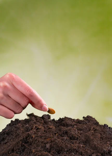 Woman hand seeding seed into pile of soil — Stock Photo, Image