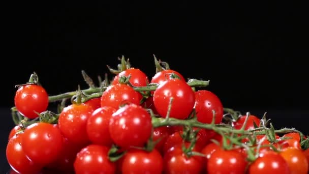 Cherries tomatoes — Stock Video