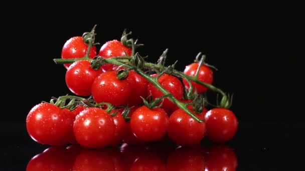 Вишні помідори — стокове відео