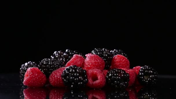 Frische Himbeeren und Brombeeren — Stockvideo