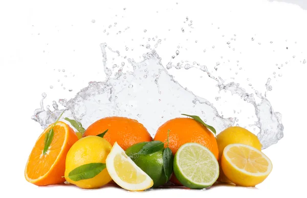 Zitrusfrüchte mit Wasserspritzern auf weißem Grund — Stockfoto