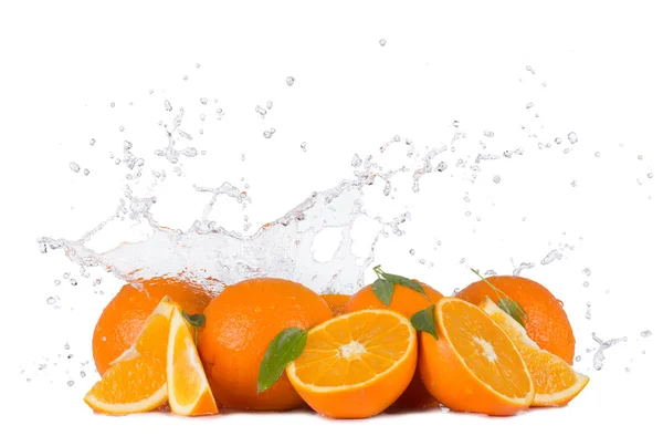 Orangen mit Wasserspritzern auf weißem Hintergrund — Stockfoto