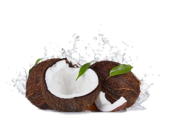 Geknackte Kokosnüsse im Wasser spritzen auf Weiß — Stockfoto