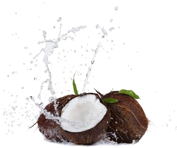 Cocos agrietados en agua salpicada en blanco — Foto de Stock