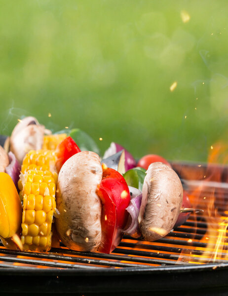 Delicious vegetable and meat skewer on grill