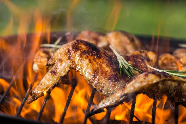 Kippenvleugels op grill — Stockfoto