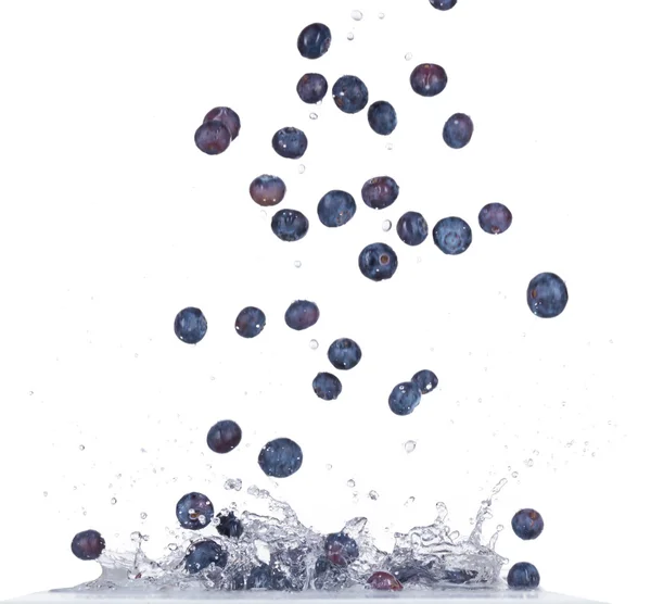 Blueberry in water Stock Photos, Royalty Free Blueberry in water Images