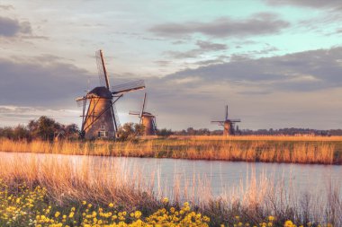 yel değirmenleri doğal, Hollanda