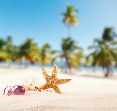 Sandy beach kabukları ile