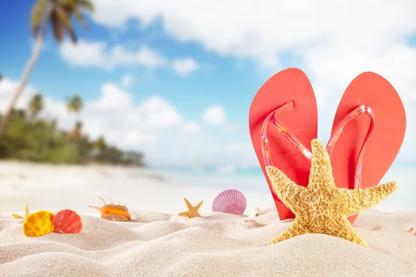 Summer beach with accessories — Stock Photo, Image