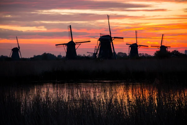 Windmills in Kinderdijk, Netherlands — Stock Photo, Image