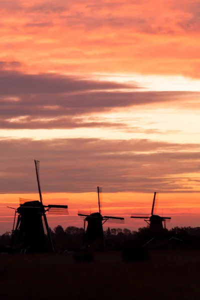 Ανεμόμυλοι στην kinderdijk, Ολλανδία — Φωτογραφία Αρχείου