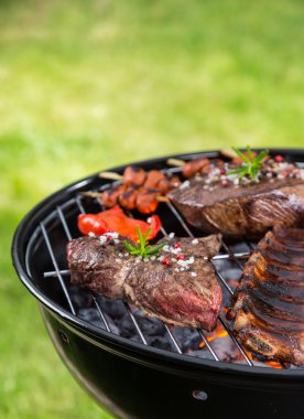 Barbekü ızgara et çeşitli türleri ile